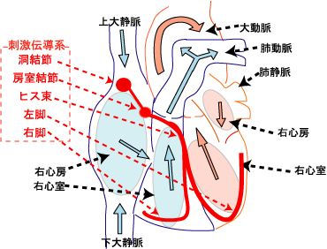 �h���`���n