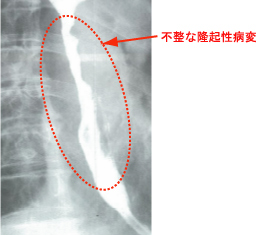 �H�������e����