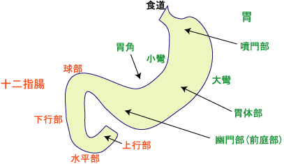 �݁E�\��w����U