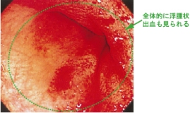 �������咰���̓���������