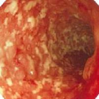 uc����������