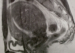 �q�{�B�؏�