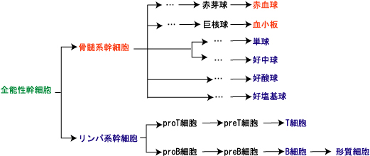 �����̕���