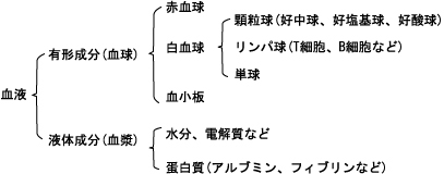 ���t�̐���