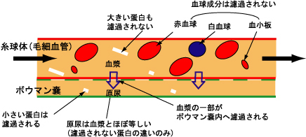 �����̂��h��